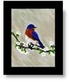Eastern Bluebird Painting