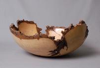 Bowl by JB Phipps 202//138