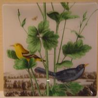 Garden Birds Glass Tray 202//201
