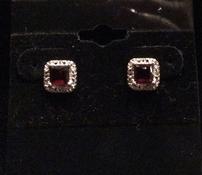 Garnet and Diamond Stud Earrings 202//175