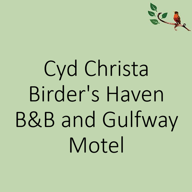 Click Here... Cyd Christa / Birder's Haven B&B and Gulfway Motel