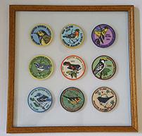 Complete Set of Audubon Patches 202//193