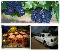 Texas Wine Country Limosine Tour for 4 202//173
