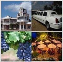 Texas Wine Country Limousine Tour for Four 202//201