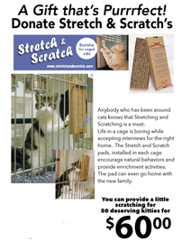 Provide a Stretch and Scratch for a Shelter Cat 202//268
