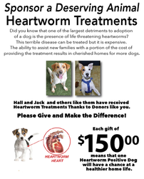 Underwrite Heartworm Treatment for a Deserving Dog 202//251
