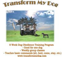 Transform My Dog - 8 Week Dog Obedience Training 202//188