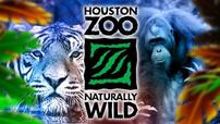 Houston Zoo 202//114