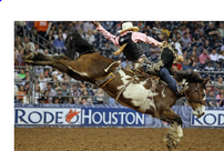Houston Livestock Show and Rodeo Grand Entry Spot 202//136