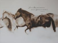 Inspirational Horse Canvas 202//151