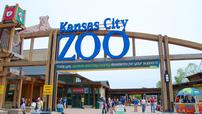Kansas City Zoo passes