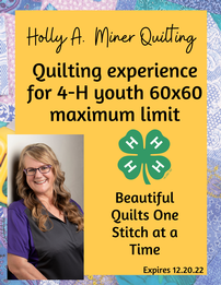 Beautiful Quilts One Stitch at a Time Holly A Miner Quilting 202//261