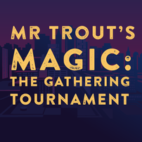 Magic: The Gathering Fundraiser Tournament 202//202