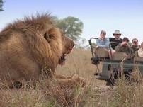 African Hunting Holiday